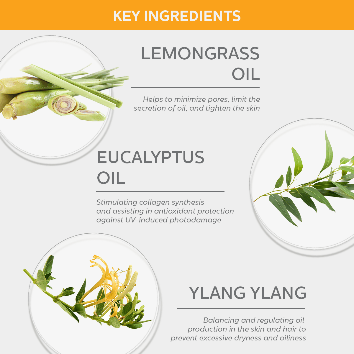 OB262 Contour Essential Oil - Image 2