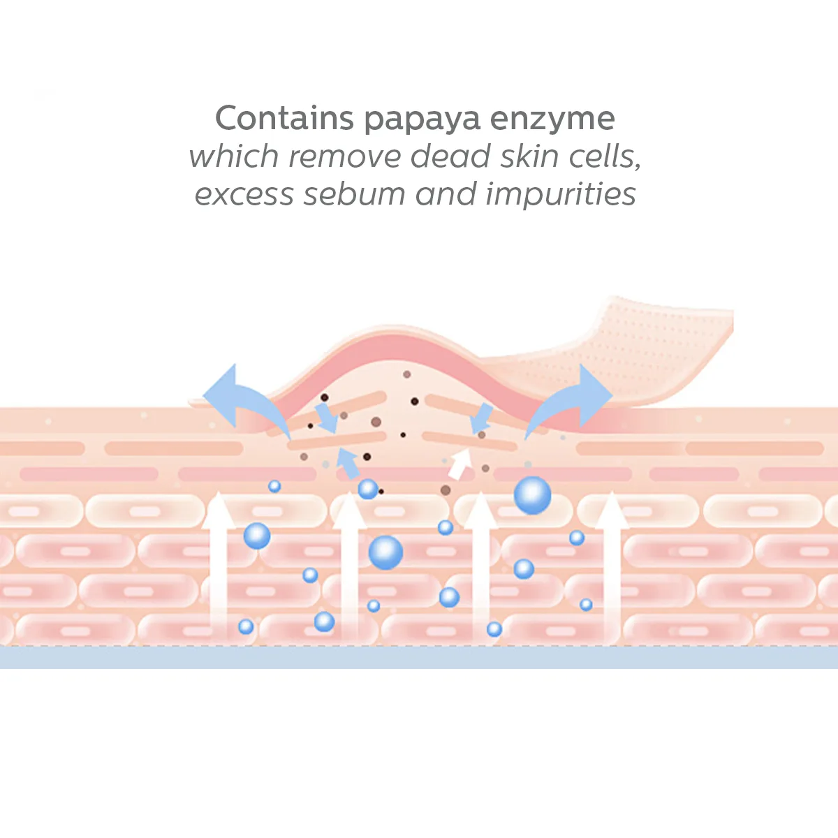 EF304 Papaya Enzyme Cleansing Powder - Image 3