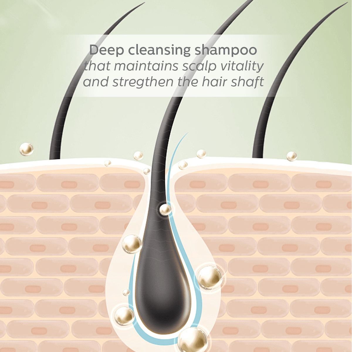 SH501 Hair Reawakening Shampoo - Image 3