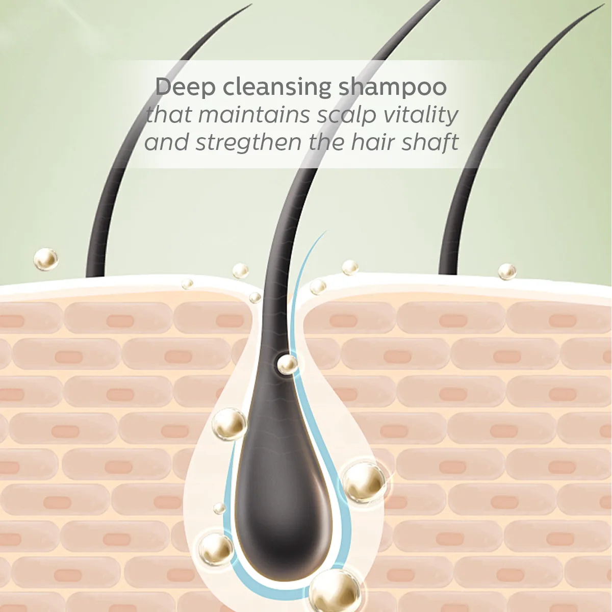 SH501 Hair Reawakening Shampoo - Image 3