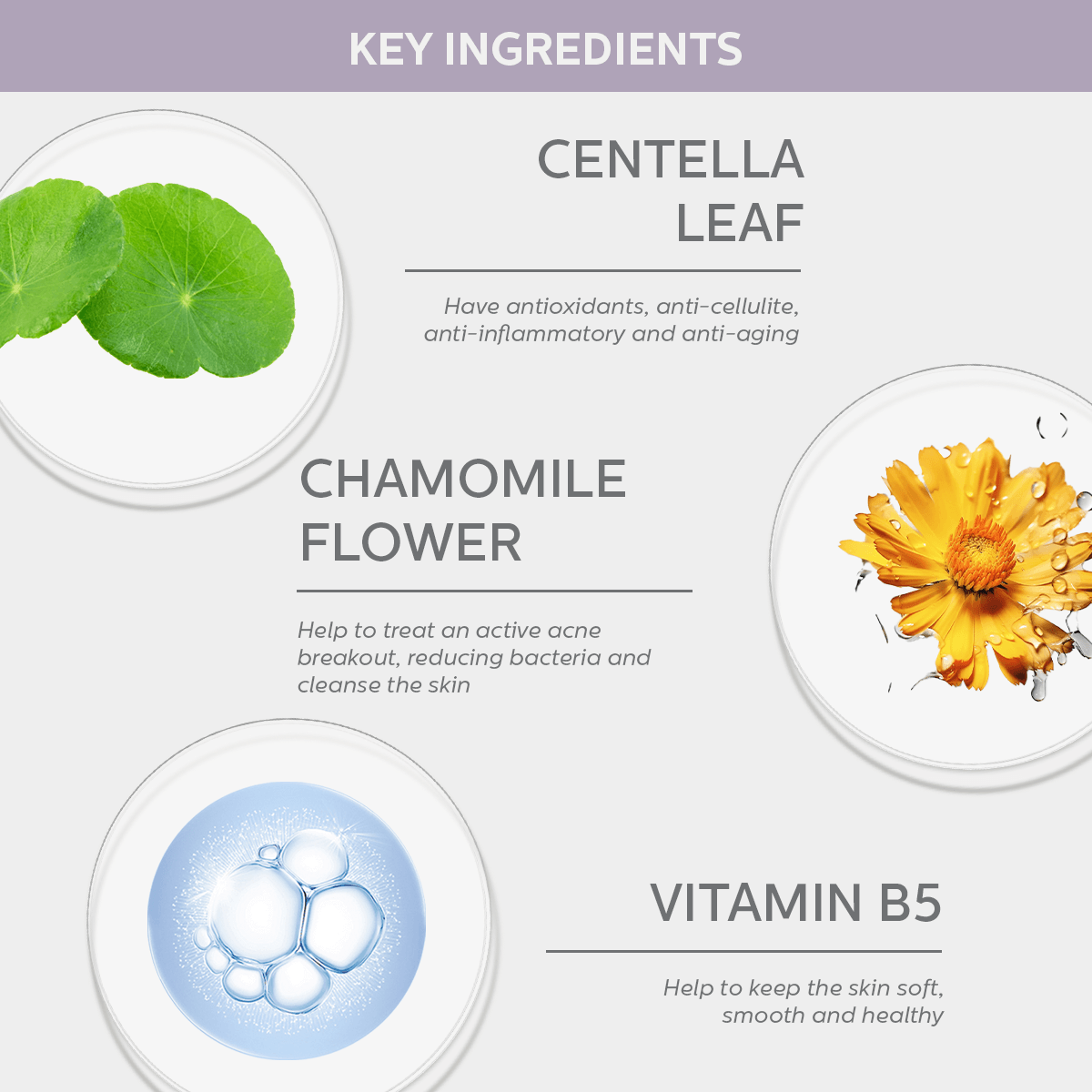 CF310 Cica-B5 Calming Cream - Image 2